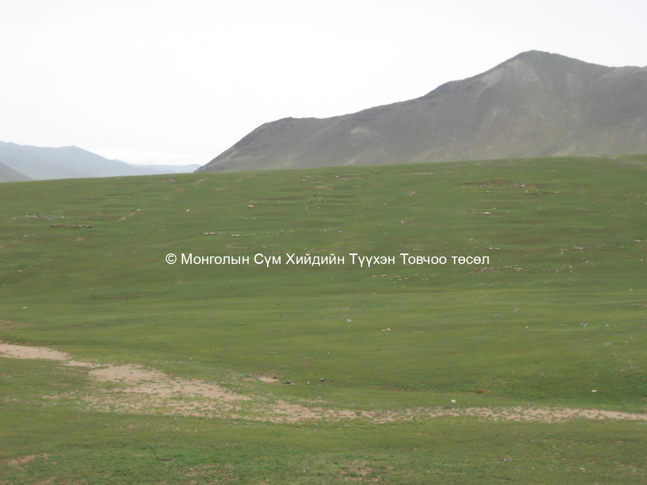 Үлдэгдэл туурь